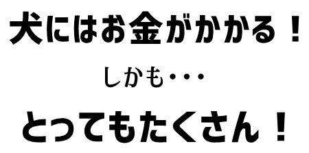 よく聞くのぢゃ!