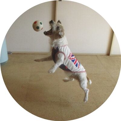 元気だね〜