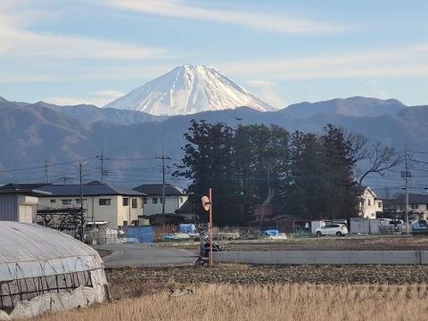 syouwatyou-fuji-5