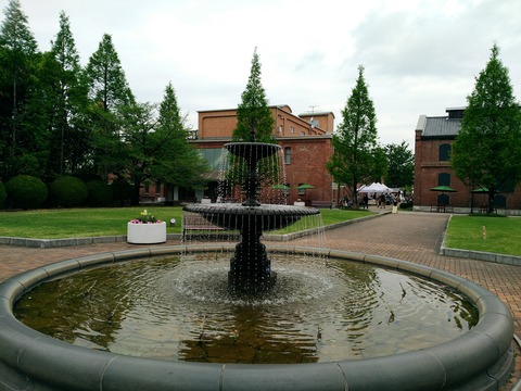 P_20190429_092002_vHDR_Auto