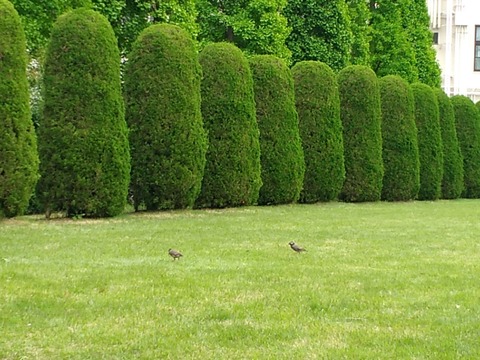 P_20190429_092811_vHDR_Auto