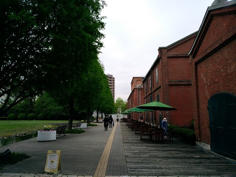 P_20190429_091840_vHDR_Auto