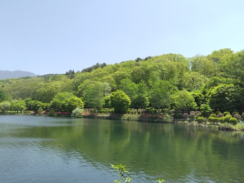 250520104850933