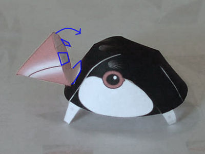 ������6M