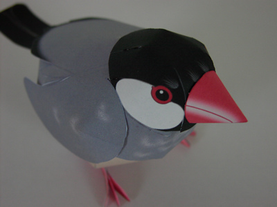 ���󤻤��̿�������5