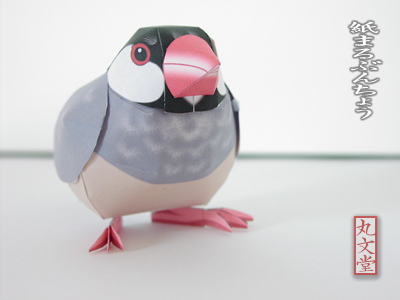 ���󤼤��̿�������1