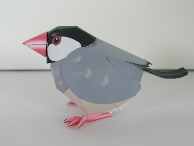 ���󤼤��̿�������2