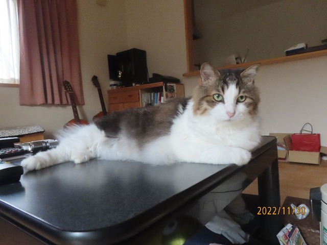 おはよテーブル