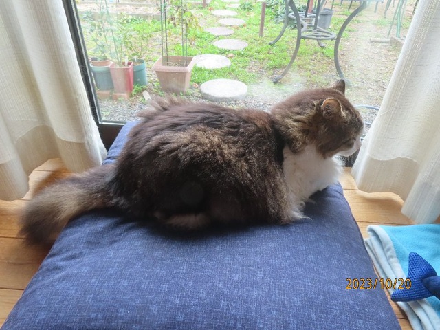 九時ですおはよ