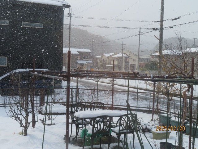 十時前雪