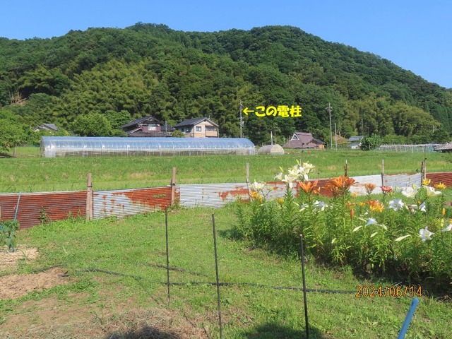 遠い電柱です