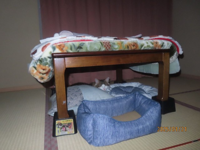 零時四十分タタミ