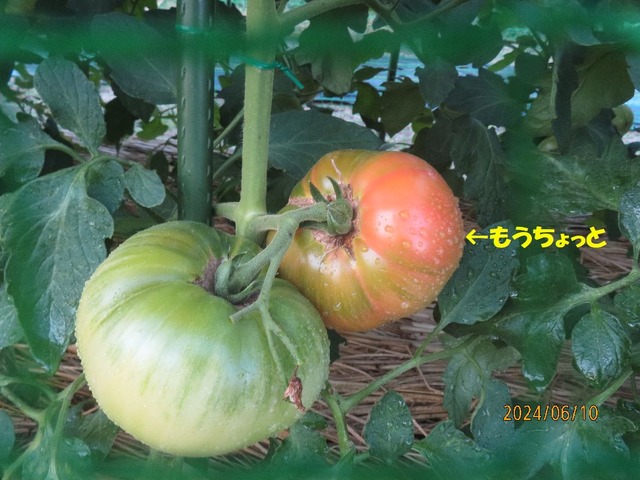 もうちょっとです