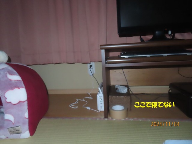 二時半ラック下