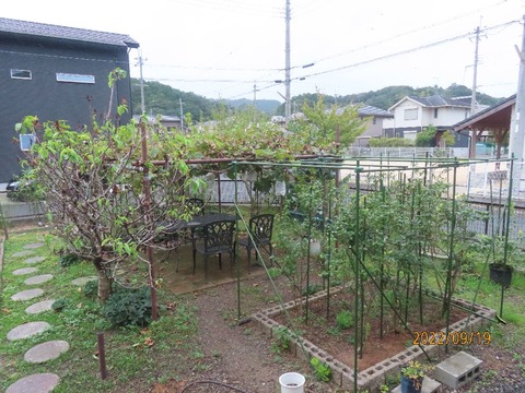 四時過ぎ①