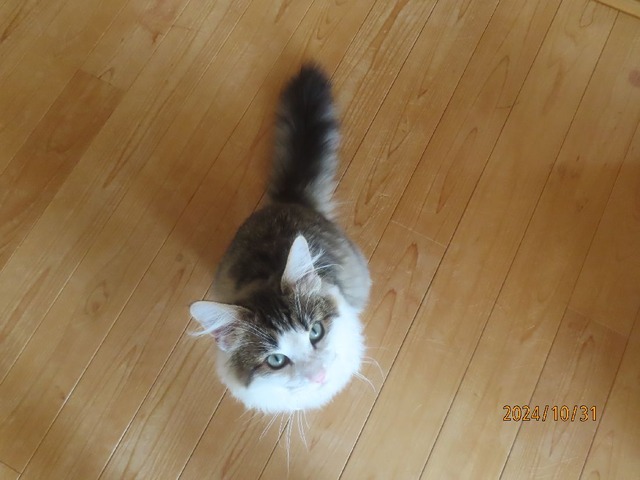 見上げるとまんまる