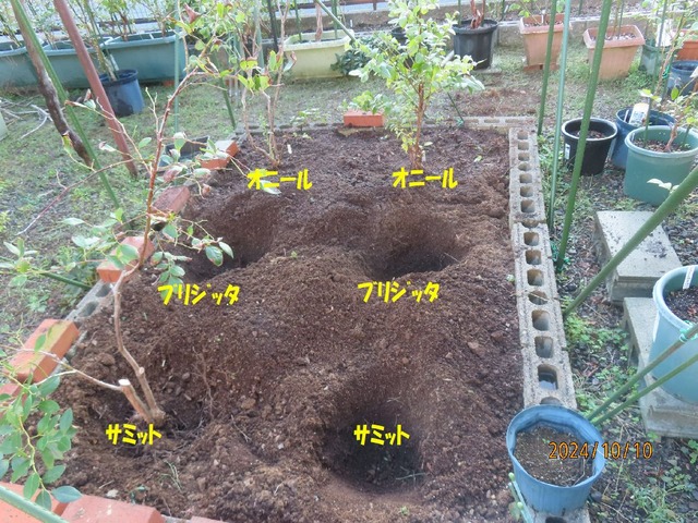 花壇植え付け予定