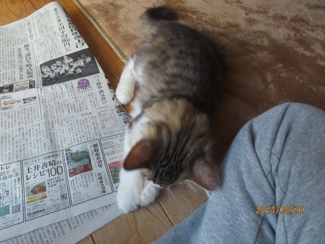 新聞③