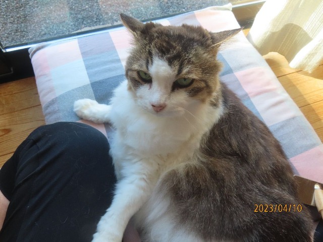 おしまいですよ