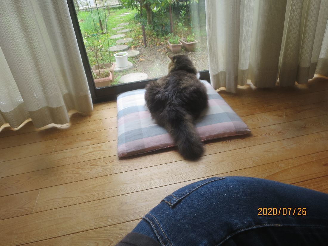 083272dc.jpg