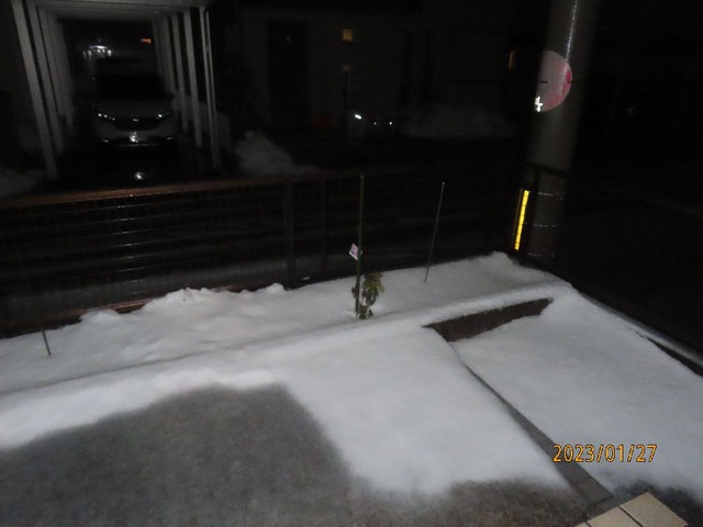 玄関前うっすら