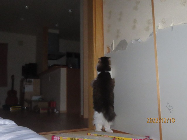 立ってごとごと六時半