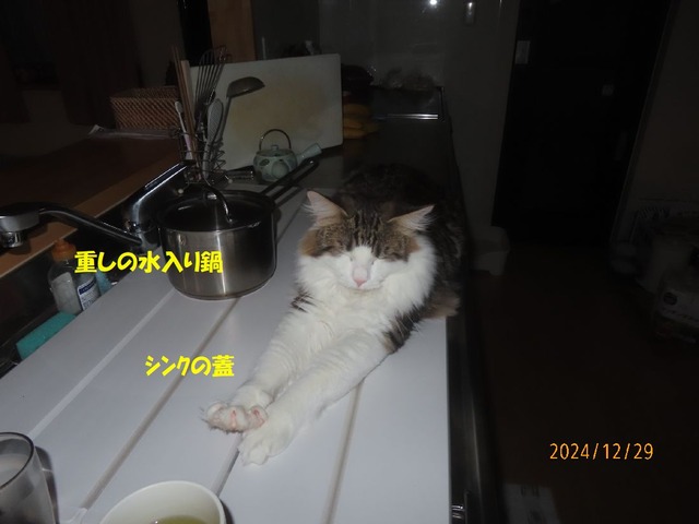 シンクでほっこり