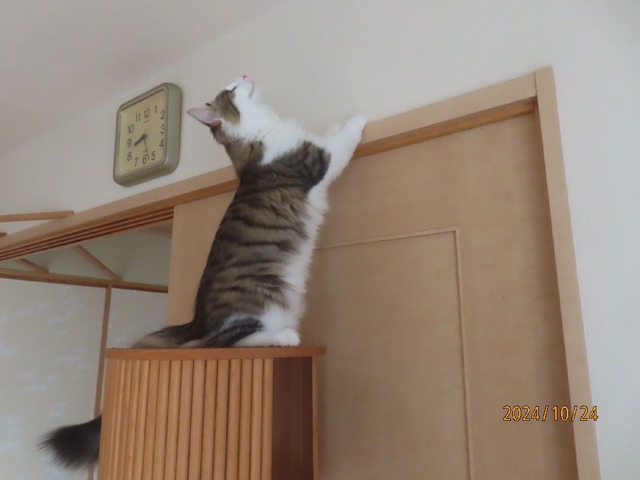 タワー②