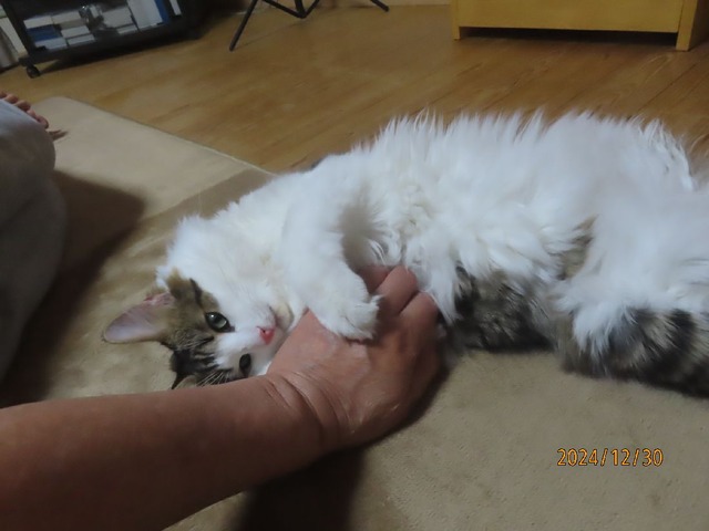 食後②