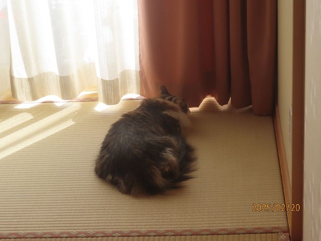 午後①
