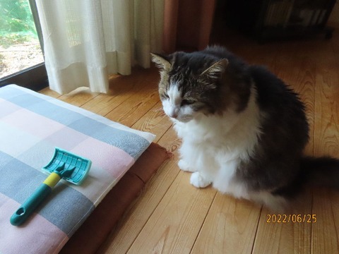 どした?