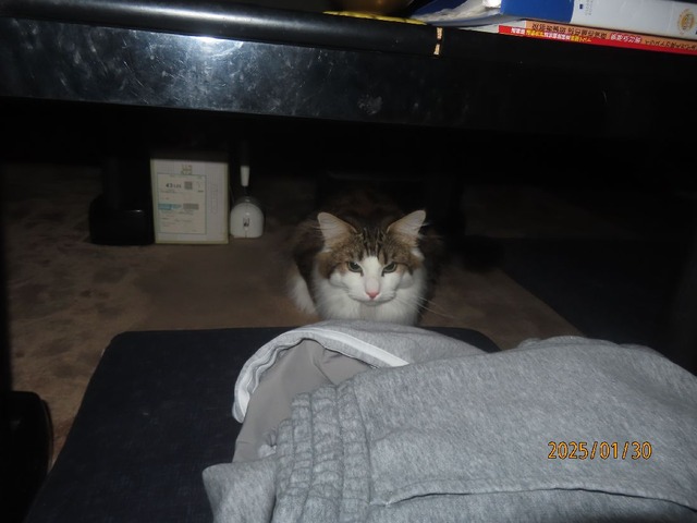 三時過ぎ降りて来た