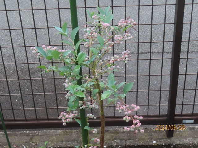 垣根ブライトウェル