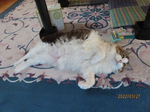 ふう「お疲れ様