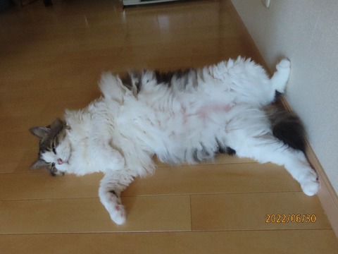 ふう「あつ・・・」