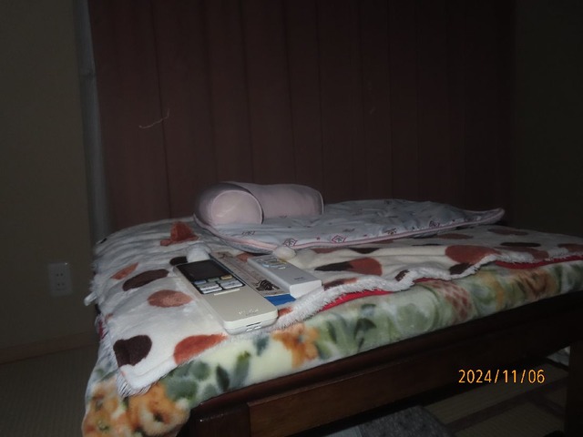 コタツベッドにいなくなったぞ