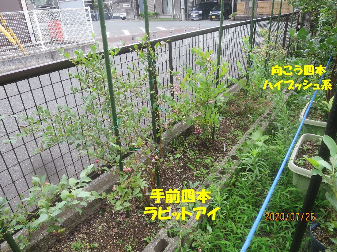 156e8abd.jpg