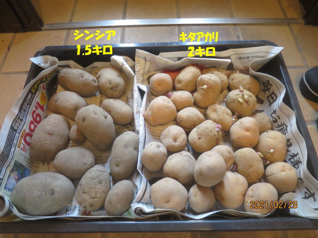 16fe9057.jpg