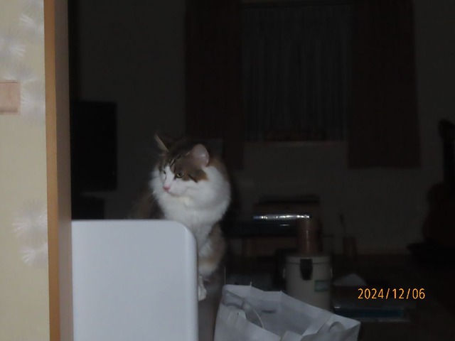 二時まるトイレ