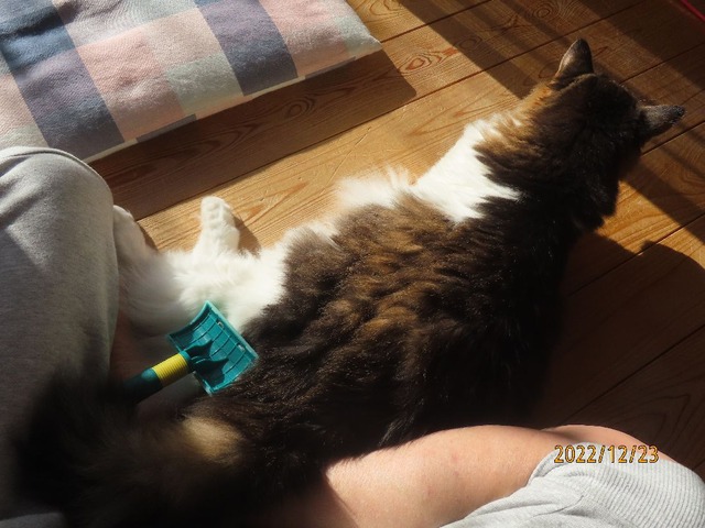 おはよう始めるよ