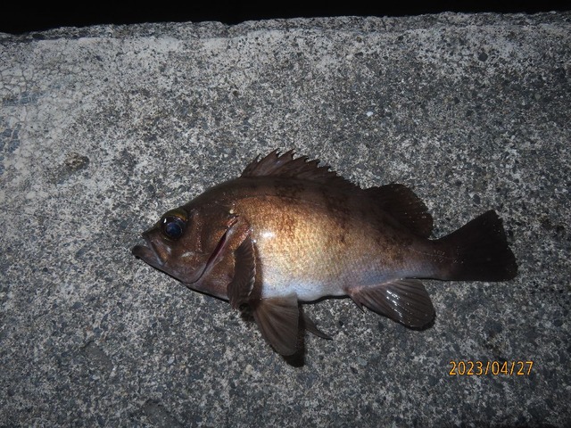 八時来ました！