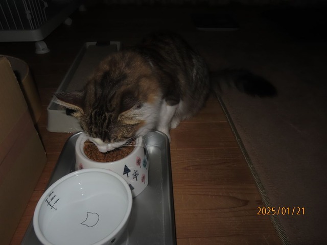 朝ゴハン七時過ぎ