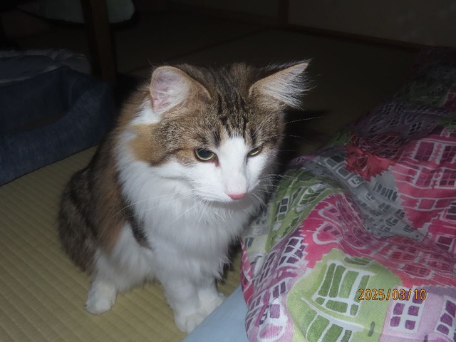 来ましたよ