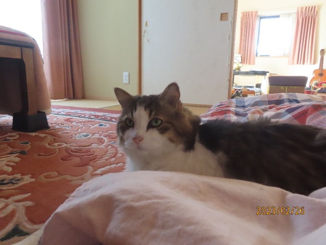 ふう「九時前だよ」