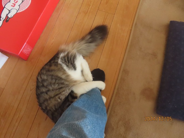 おかえりおかえり