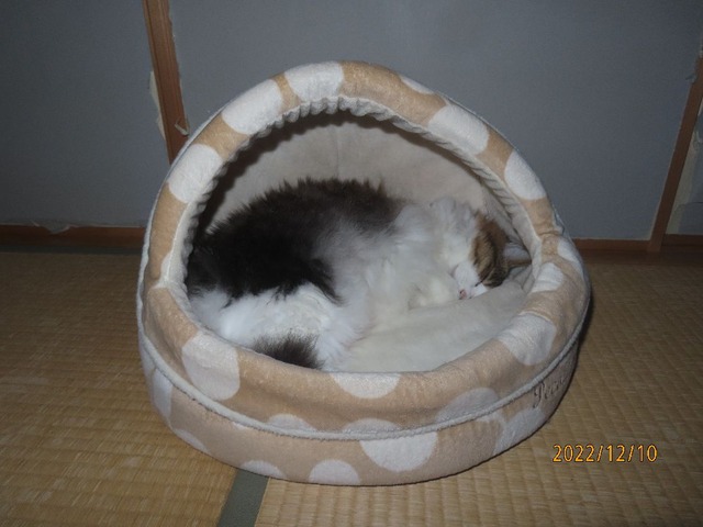 二時前かまくらベッド