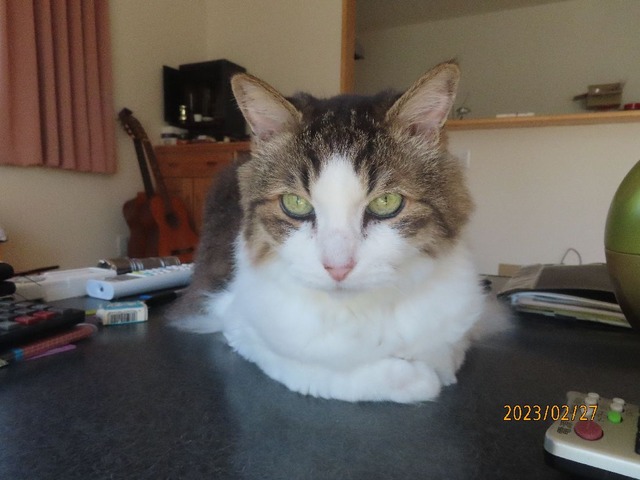 畑へ行ってくるよ