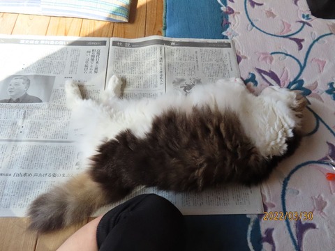 新聞②