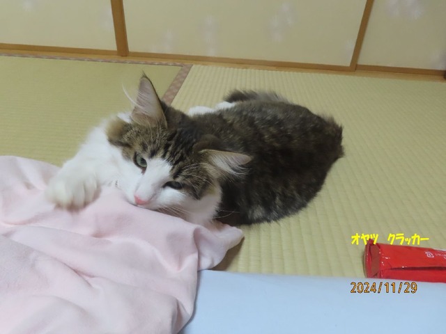 十一時