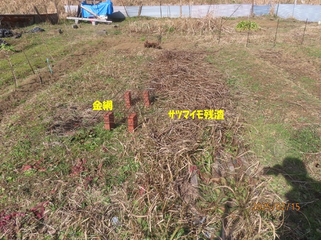 残渣